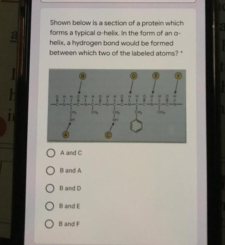 Solved Shown Below Is A Section Of A Protein Which Forms Chegg Com