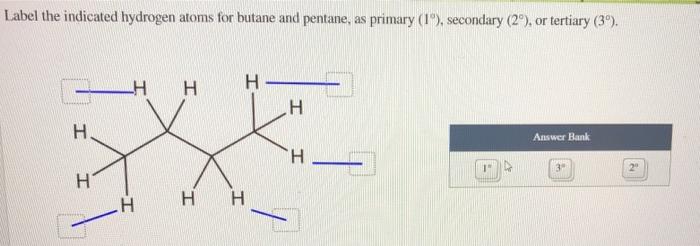 Solved Label the indicated hydrogen atoms for butane and | Chegg.com