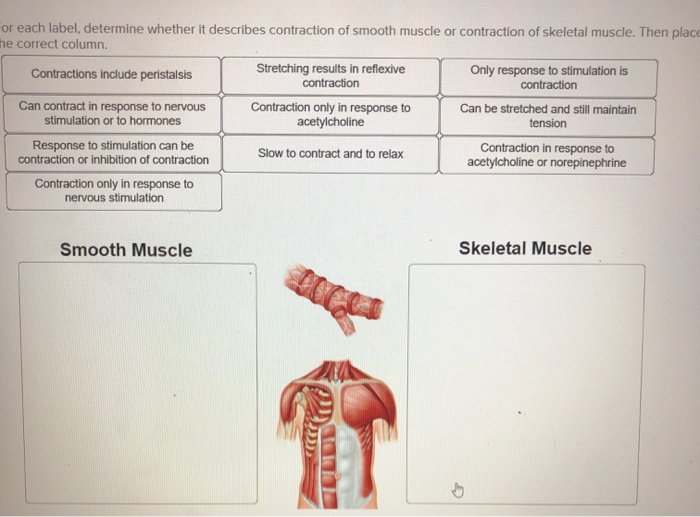 solved-or-each-label-determine-whether-it-describes-chegg