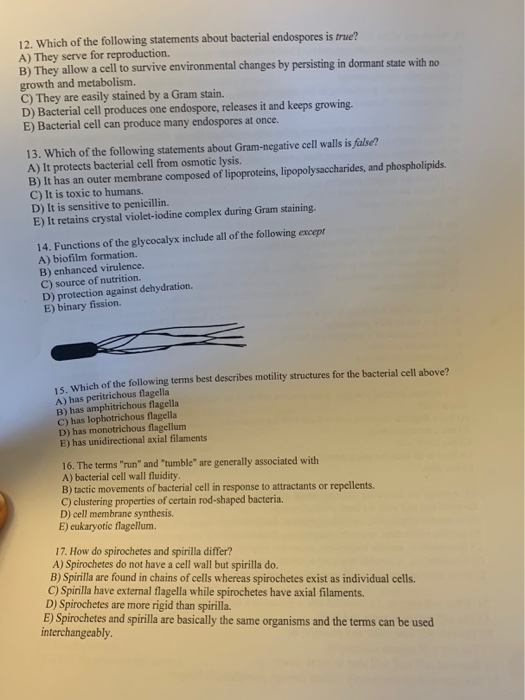Solved 12. Which Of The Following Statements About Bacterial | Chegg.com Solved 12. Which Of The Following Statements About Bacterial | Chegg.com