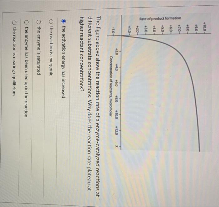 Solved The figure above show the reaction rate of a | Chegg.com