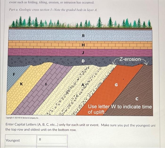 Solved EXERCISE 8.5 Deciphering Geologic History Using | Chegg.com