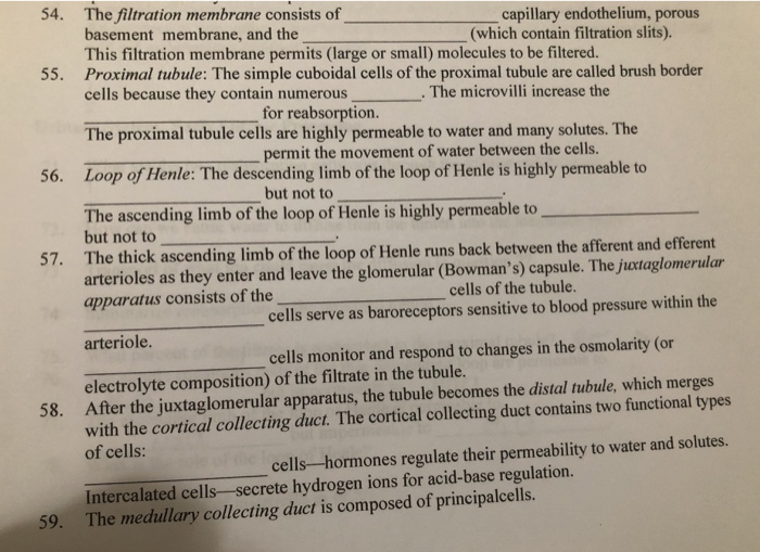 Solved 54. 55. 56. 57. The filtration membrane consists of