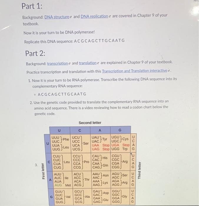 Solved Part 1: Background: DNA structuree and DNA | Chegg.com