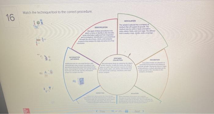 Match the technique/tool to the correct procedure 16 Tei IDENTICATION Od NOCULAROW Theo Logo word Then GATHA SHIN COLLECTION