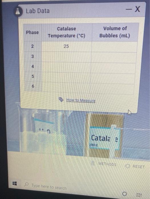 À Lab Data - X Phase Catalase Temperature (*C) Volume | Chegg.com