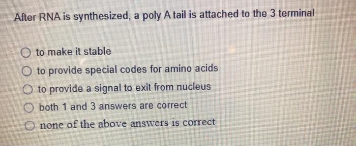 Solved After RNA is synthesized, a poly A tail is attached | Chegg.com