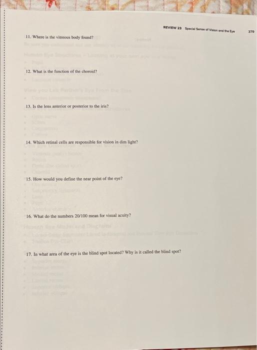 exercise 24 review sheet special senses visual tests and experiments