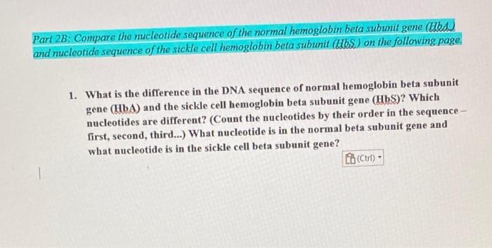 Solved If The Following Is The Nucleotide Sequence And Chegg Com