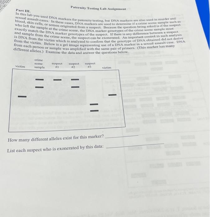 Solved Paternity Testing Lab Assignment Part III. In this | Chegg.com