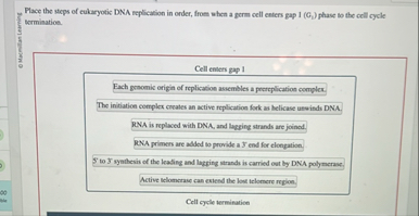 Solved Place the steps of cukaryotic DNA replication in | Chegg.com
