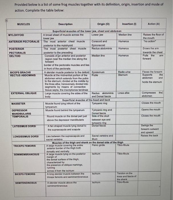 Provided Below Is A List Of Some Frog Muscles Chegg 