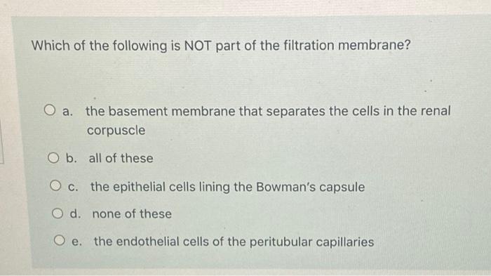 Solved Which of the following is NOT part of the filtration | Chegg.com