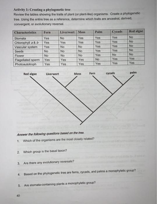 Solved Activity 1: Creating a phylogenetic tree Review the | Chegg.com
