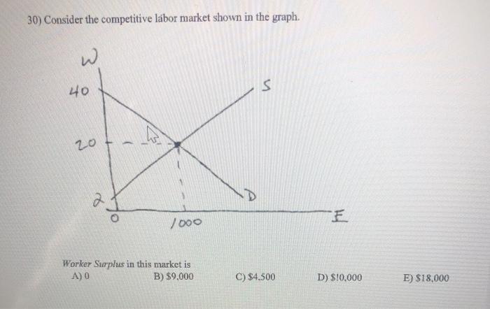 Solved 30) Consider the competitive labor market shown in | Chegg.com