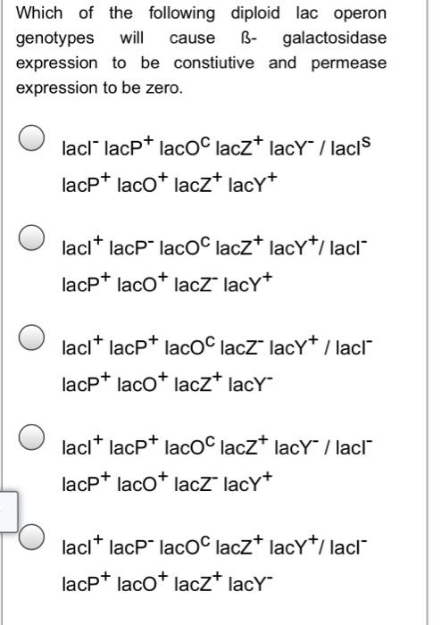 Solved Which of the following diploid lac operon genotypes | Chegg.com