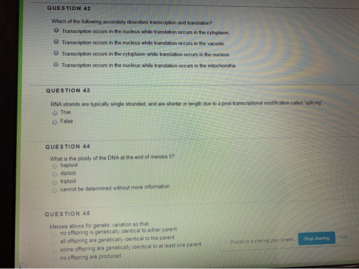 Which Summary Below Correctly Describes What Occurs During Transcription