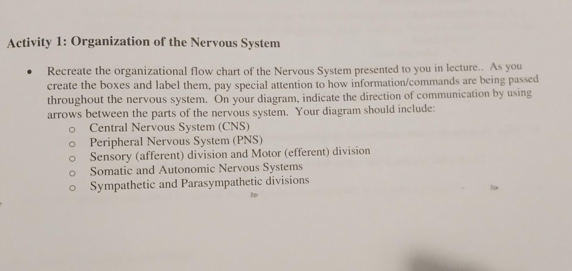 Solved Activity 1: Organization of the Nervous System | Chegg.com