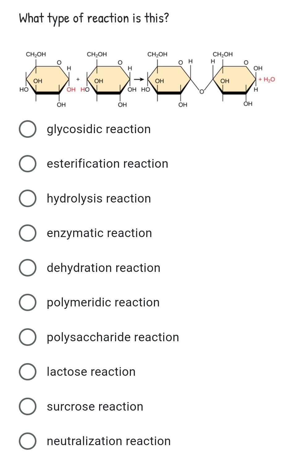 Solved Enzymes work as catalysts by doing which of the