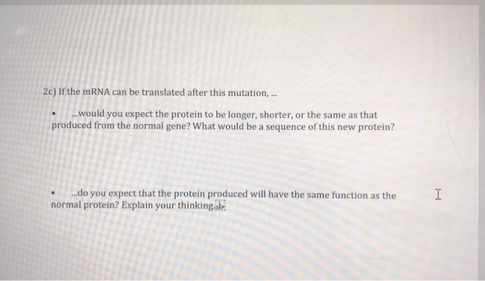 Solved Protein Synthesis Activity 1. Below is the | Chegg.com