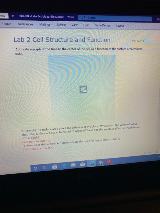 solved dy document lab word transcribed problem text been