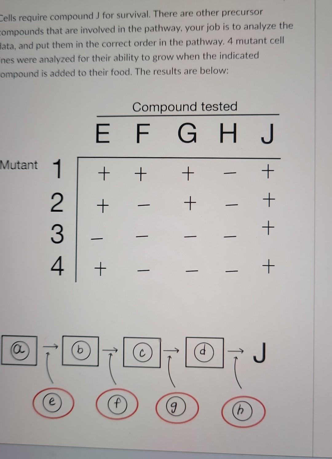 Solved Cells require compound J for survival. There are | Chegg.com