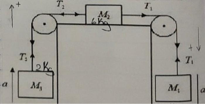 x T. 7, M bha Т. T 2kg 14 M. a