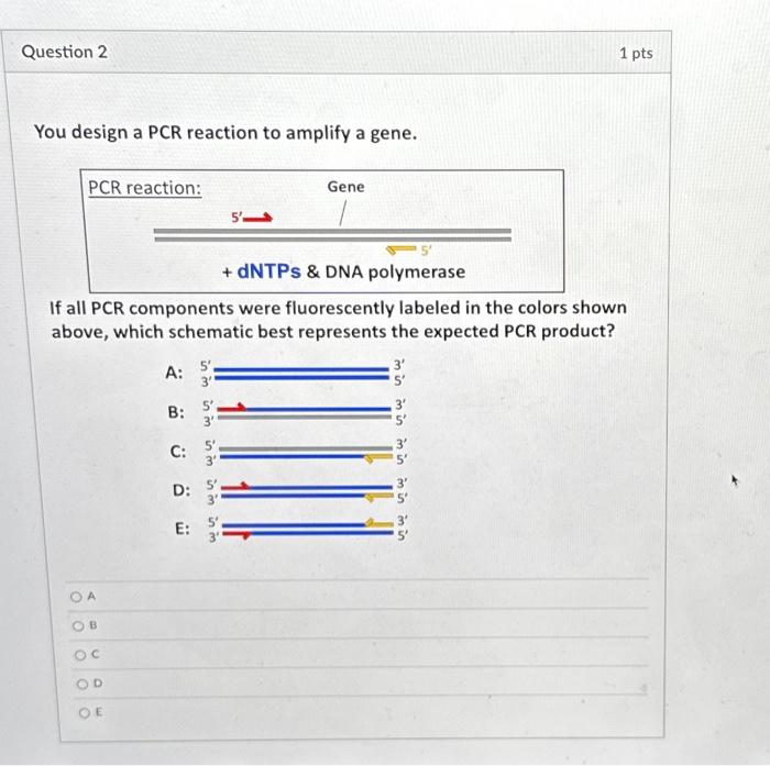 Solved You design a PCR reaction to amplify a gene. If all | Chegg.com