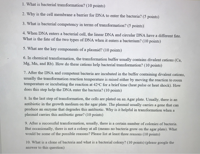 is bacterial transformation