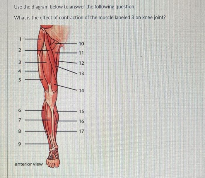 Solved The diagram below best represents a Contraction Joint