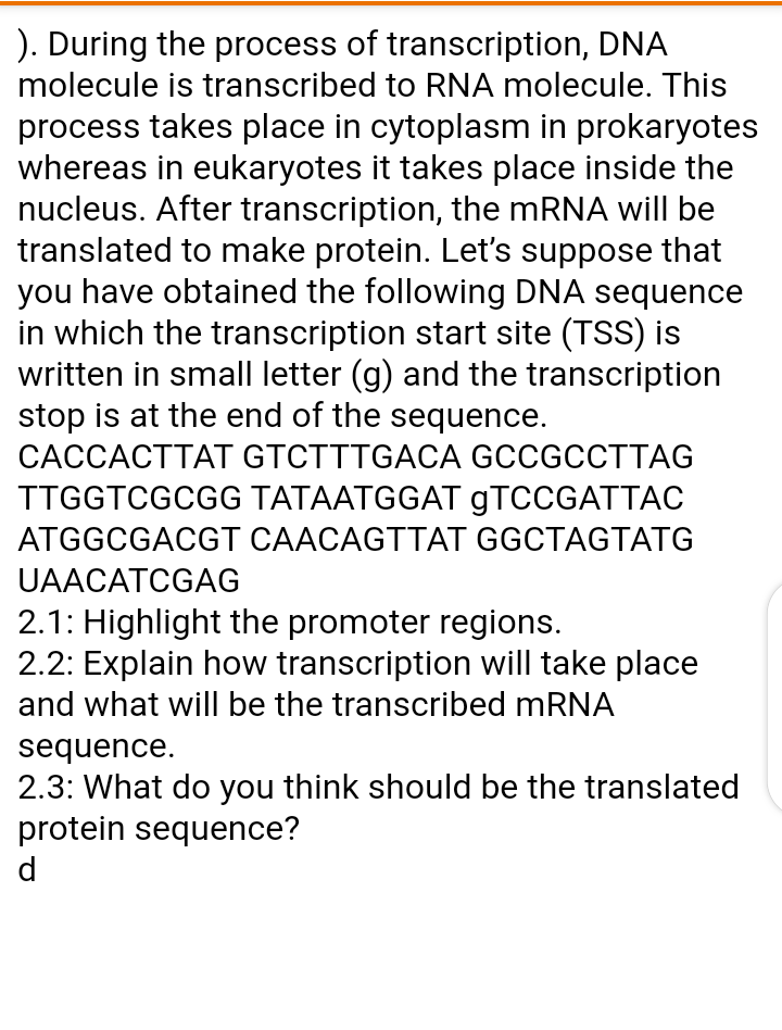 Solved ). During the process of transcription, DNA molecule | Chegg.com