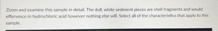 Zoom and examine this sample in detail. The dull, | Chegg.com