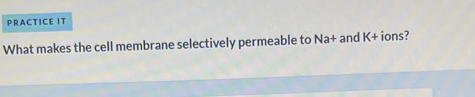 Solved What makes the cell membrane selectively permeable to | Chegg.com