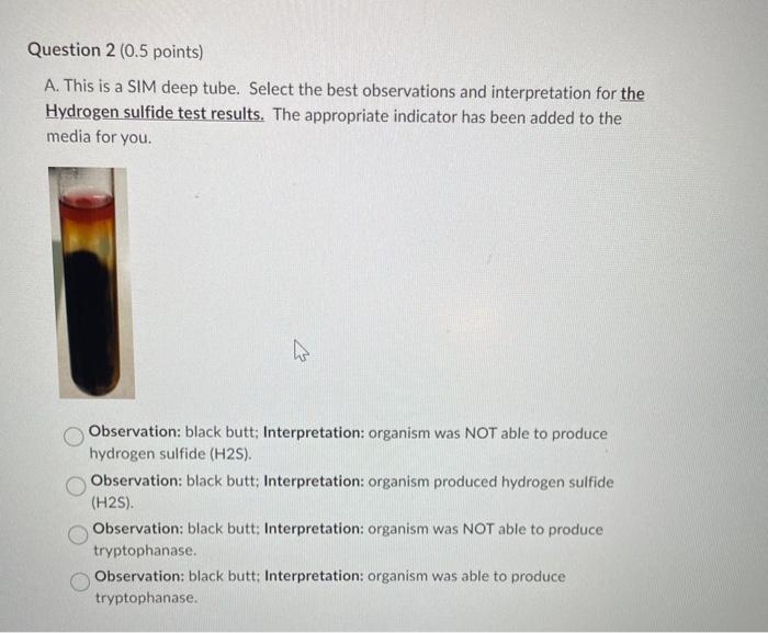 Solved A. This is a SIM deep tube. Select the best | Chegg.com