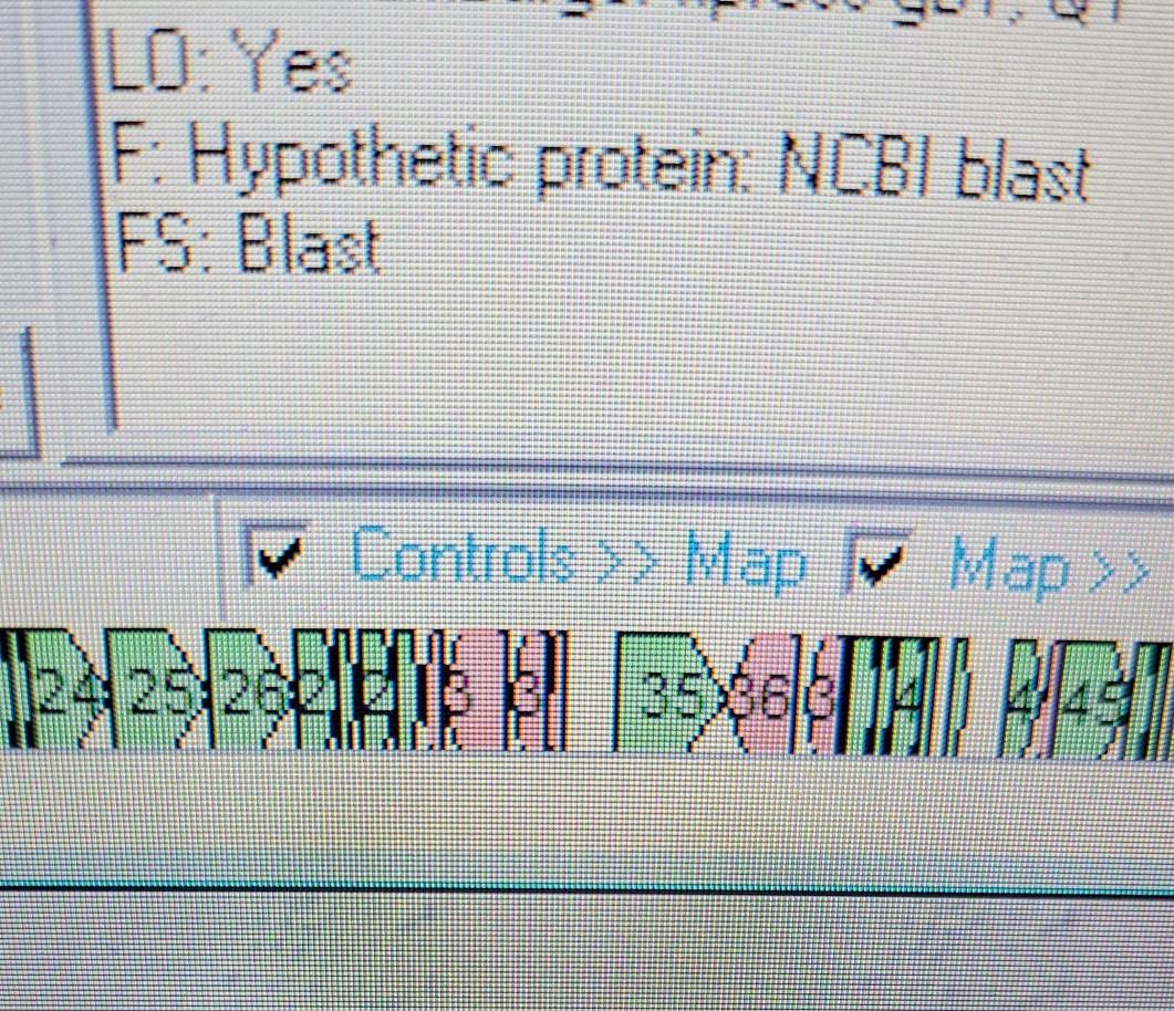 DNA Master - For a class, we are using dna master. We | Chegg.com