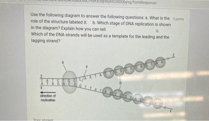 Solved Use the following diagram to answer the following | Chegg.com
