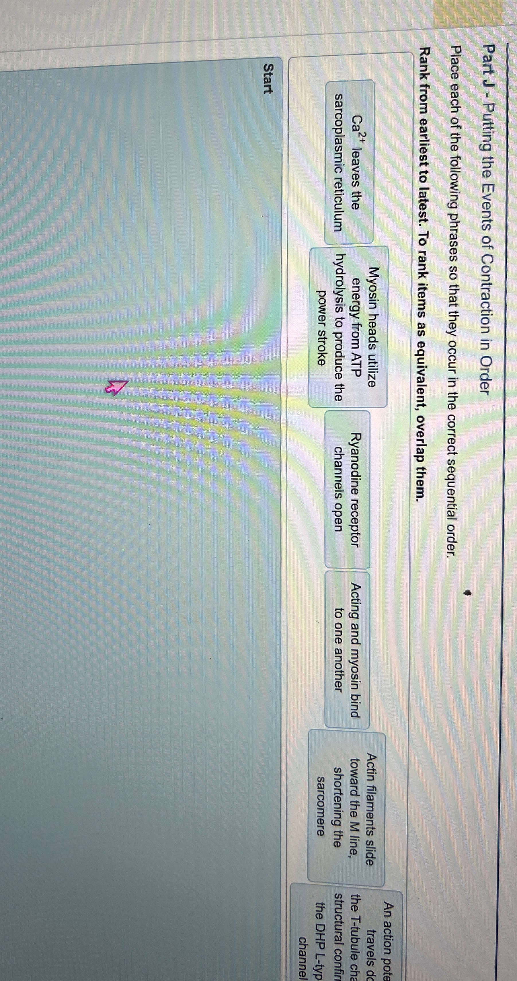 Solved Part J - ﻿Putting the Events of Contraction in | Chegg.com