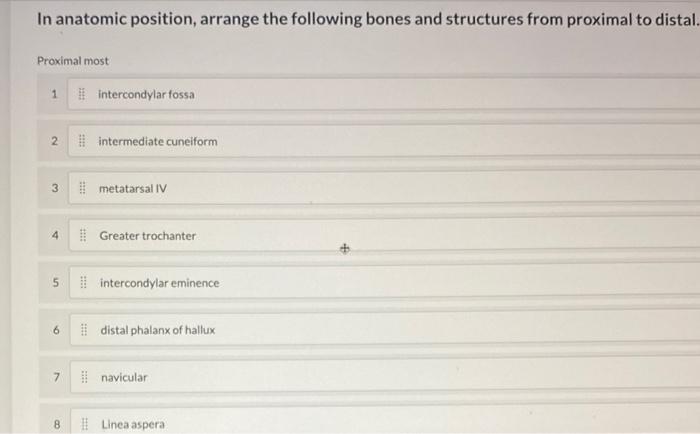 Solved In anatomic position, arrange the following bones and | Chegg.com