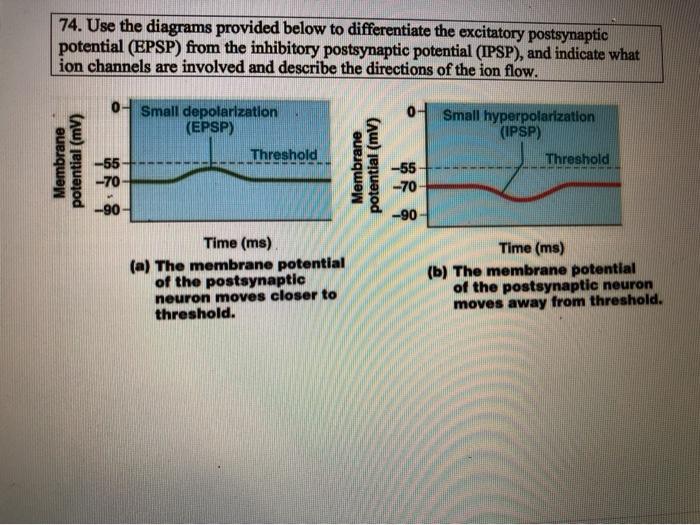 Solved 74. Use The Diagrams Provided Below To Differentiate | Chegg.com