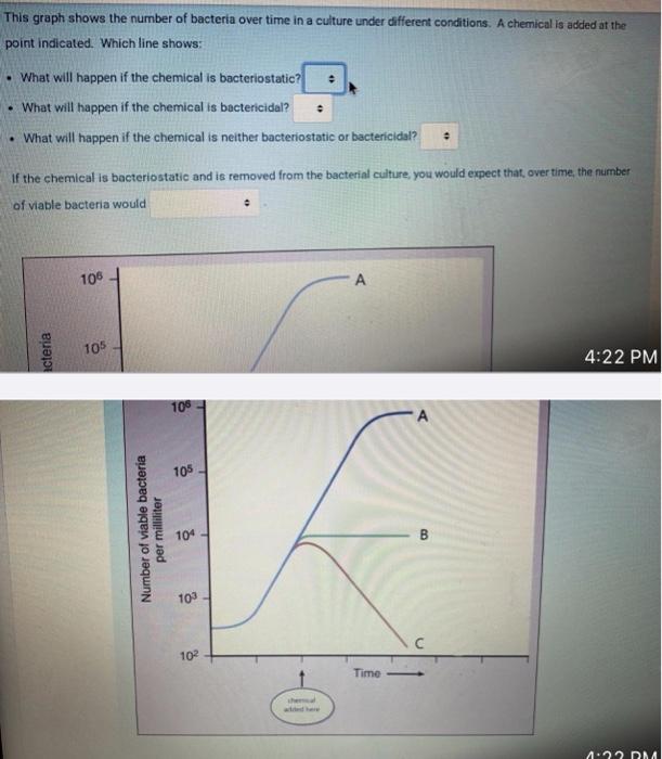 Solved This graph shows the number of bacteria over time in | Chegg.com