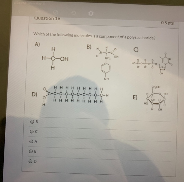 Solved Question 16 0.5 pts Which of the following molecules | Chegg.com