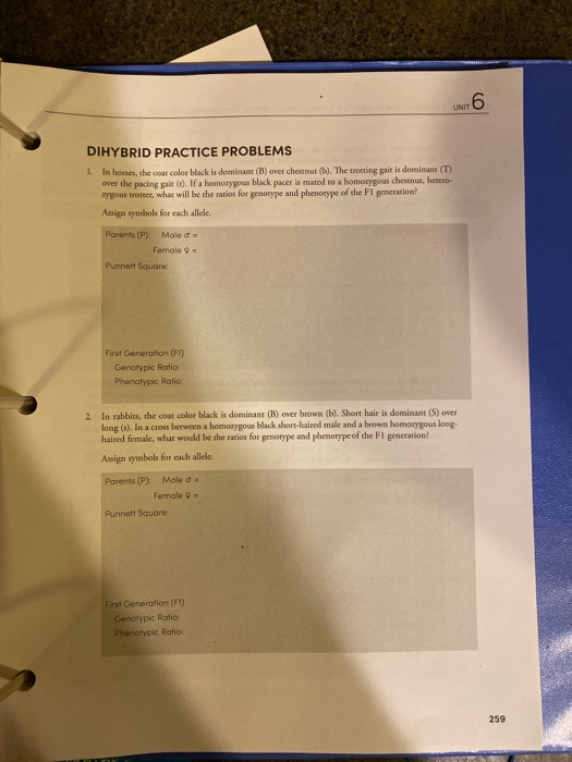 Solved Unit 6 Dihybrid Practice Problems 1 In Horses Th