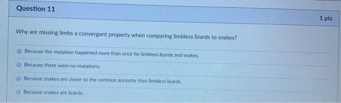 Solved Question 2 1 pts Compare energy to elements in life. | Chegg.com