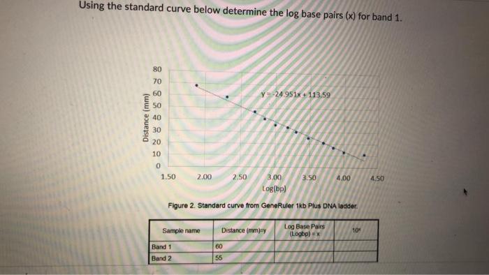 Solved Using The Standard Curve Below Determine The Log B Chegg Com