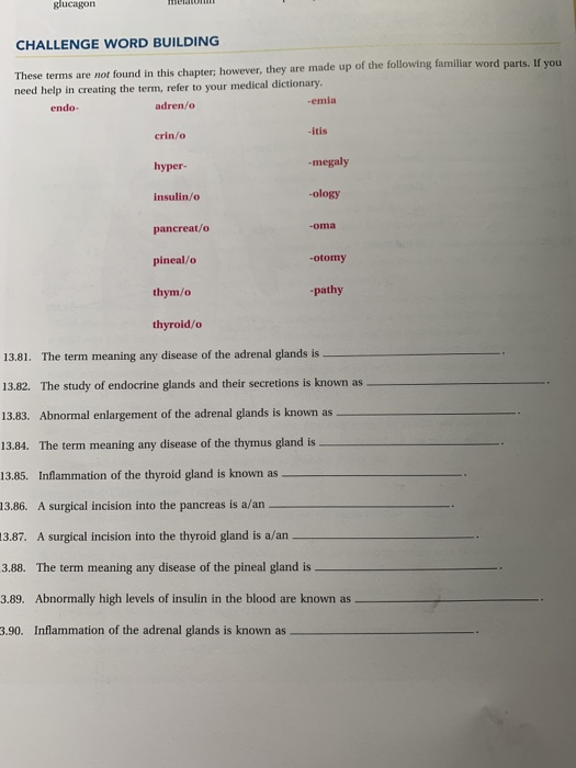 Solved Glucagon Challenge Word Building These Terms Are N Chegg Com