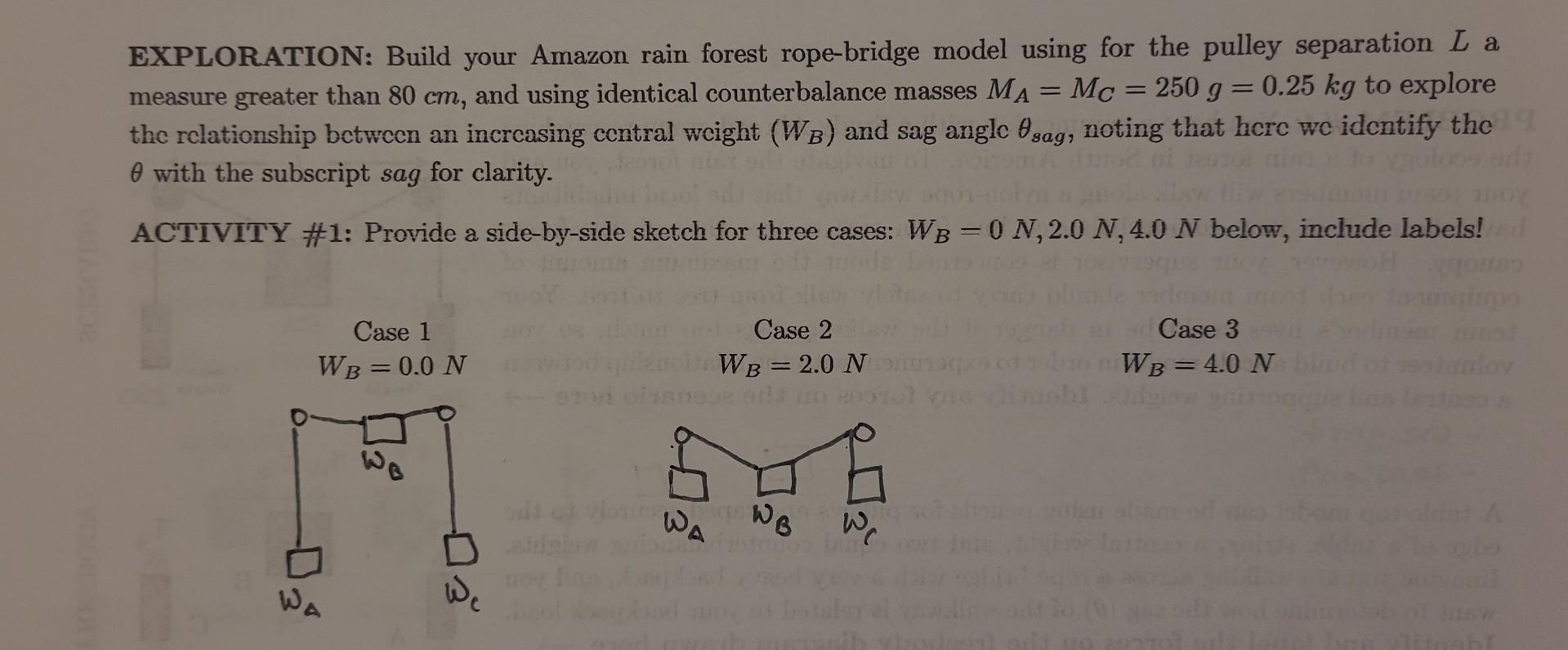 Amazon Rope Distance Question Solved EXPLORATION: Build your Amazon rain forest | Chegg.com