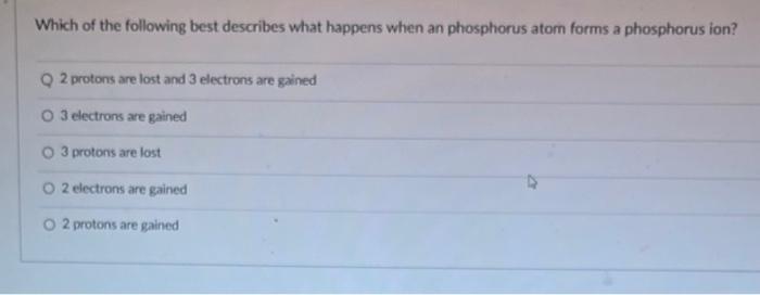 Solved Which of the following best describes what happens | Chegg.com