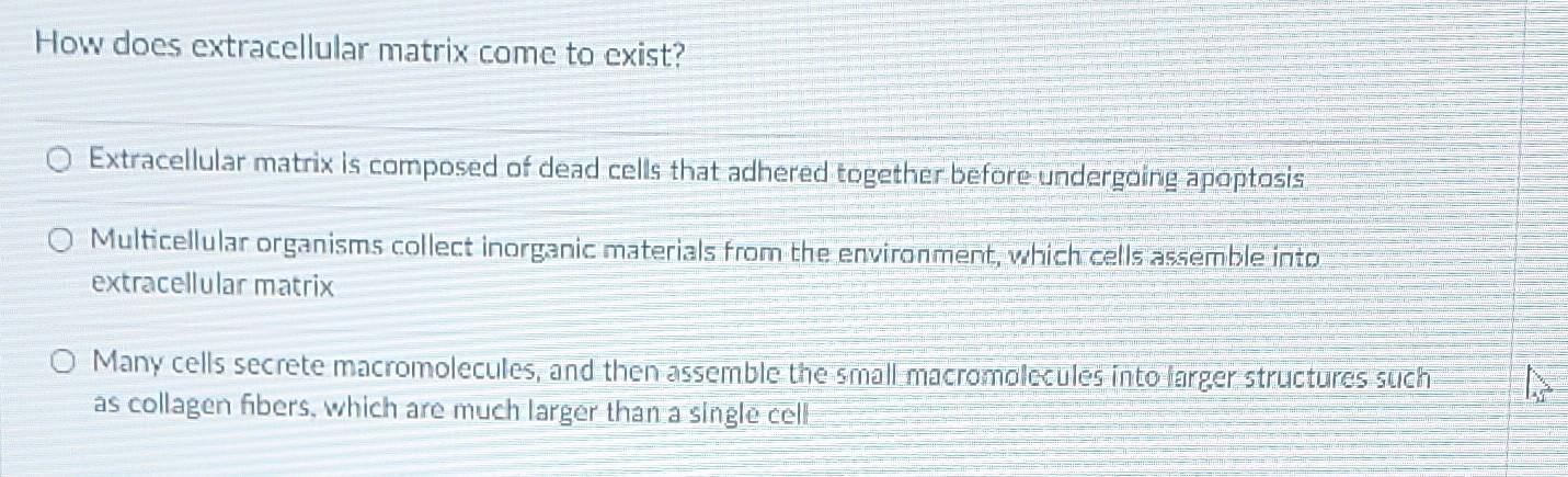 Solved How does extracellular matrix come to exist? | Chegg.com