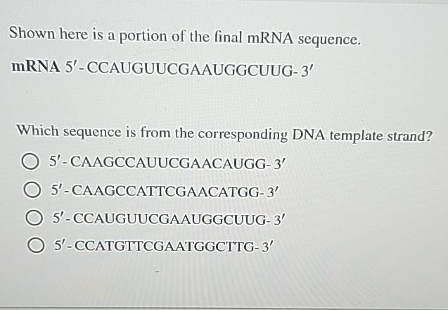 Solved Shown here is a portion of the final mRNA | Chegg.com