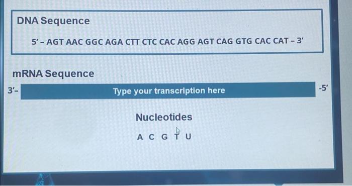 Solved mRNA Sequence | Chegg.com